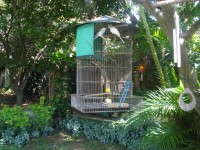 /album/criadouro-estrutura-e-passaros/churras-044-jpg/